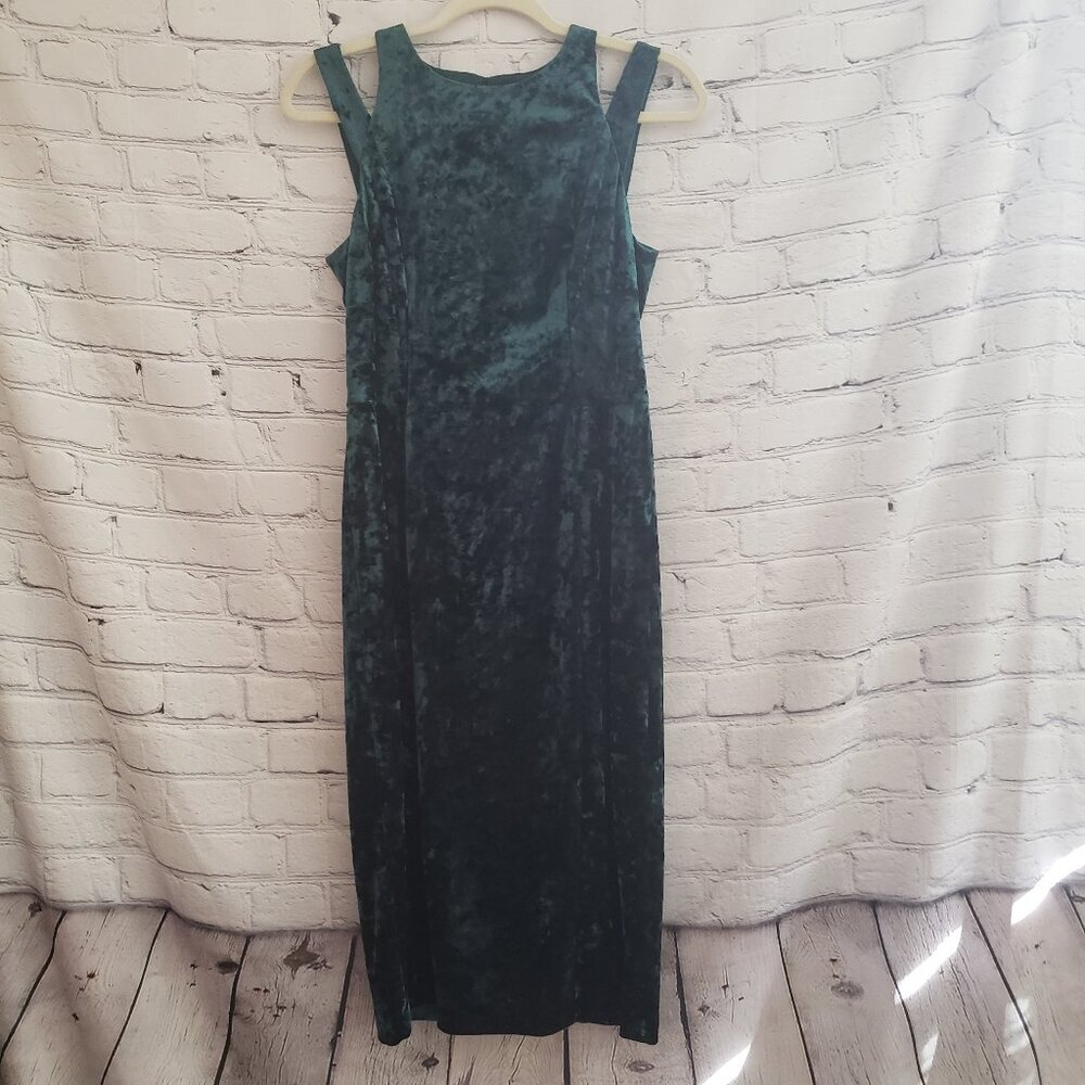 Maggy London Velour Dress - Picture 1 of 11